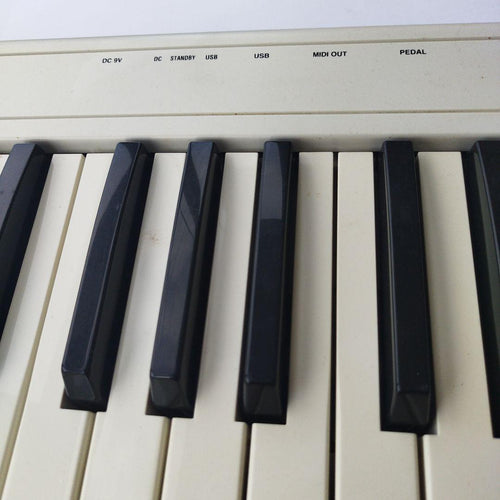 Korg Midi Keyboards Pads K25