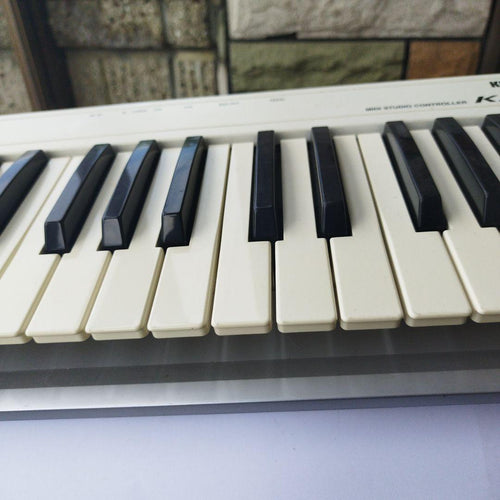 Korg Midi Keyboards Pads K25