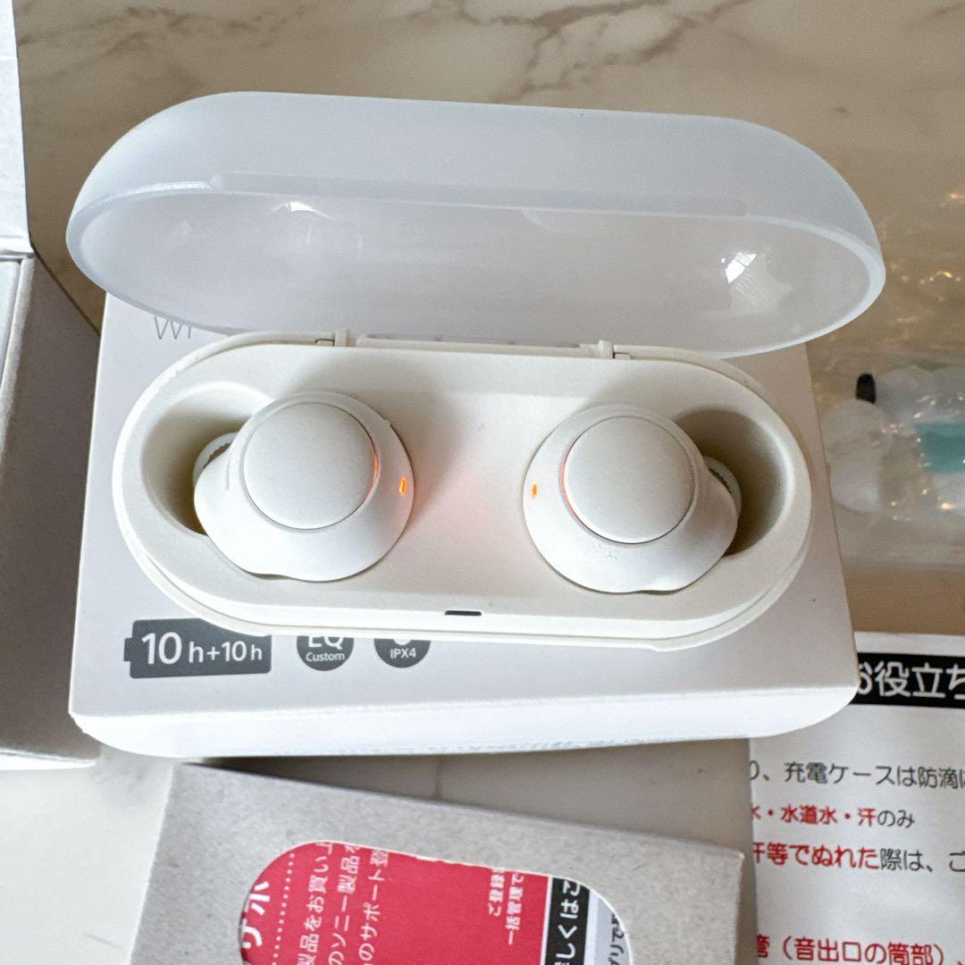 Sony Wireless Earphones Wf-C500