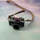 Pentax Compact Cameras (Film) Sp