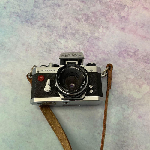 Pentax Compact Cameras (Film) Sp