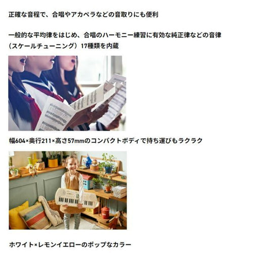 Analog Synthesizer Casio Sa-80 Casiotone 44 Sa76