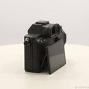 Sony Mirrorless Interchangeable Lips 7Riii Ilce-7Rm3 262
