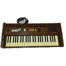 Casio Keyboard Electronic Piano Casiotone 301