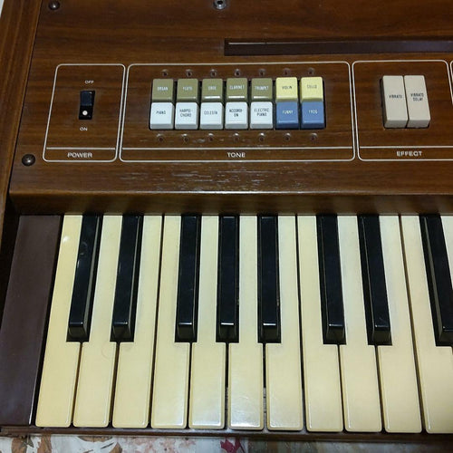 Casio Keyboard Electronic Piano Casiotone 301
