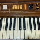 Casio Keyboard Electronic Piano Casiotone 301