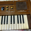 Casio Keyboard Electronic Piano Casiotone 301