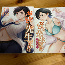 Seinen Manga Dvd