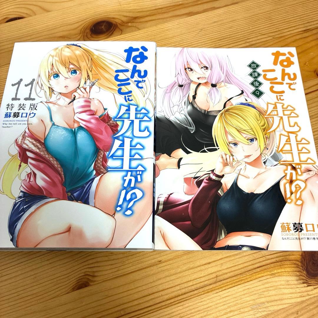 Seinen Manga Dvd