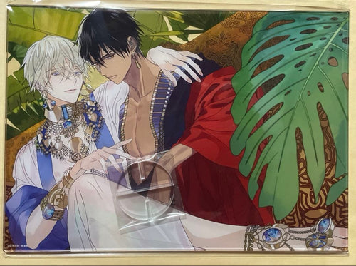 Acrylic Stands