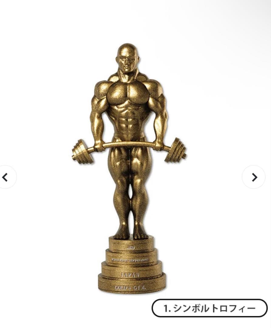 Gold'S Gym Sports 4