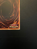 Yu-Gi-Oh! Rush Duel (Orr)