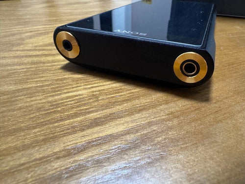 Sony Digital Audio Players Nw-Wm1Am2