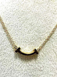 Necklace Tiffany&Co. 2025 170500 S-0703-R13