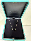 Necklace Tiffany&Co. 2025 170500 S-0703-R13