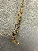 Necklace Tiffany&Co. 2025 170500 S-0703-R13