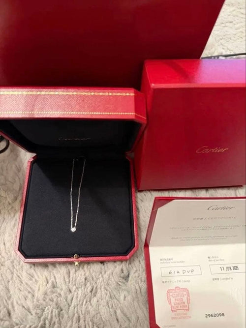 Cartier Necklaces Xs