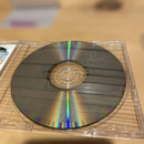Other Pc Daytona Usa Evolution Version