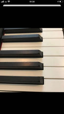 Keyboard Instrument Casio Ps-X1000