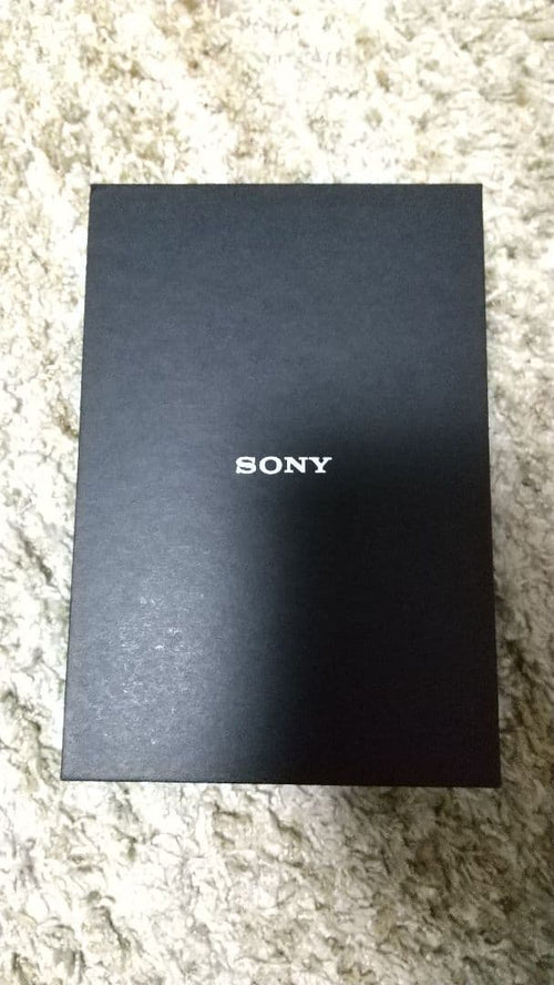 Sony Digital Audio Player Nw-Wm1Z