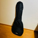 Yamaha Electric Guitars Rgxa2