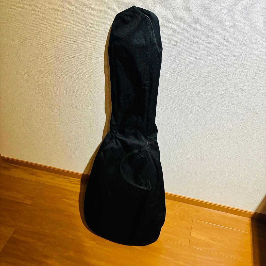Yamaha Electric Guitars Rgxa2