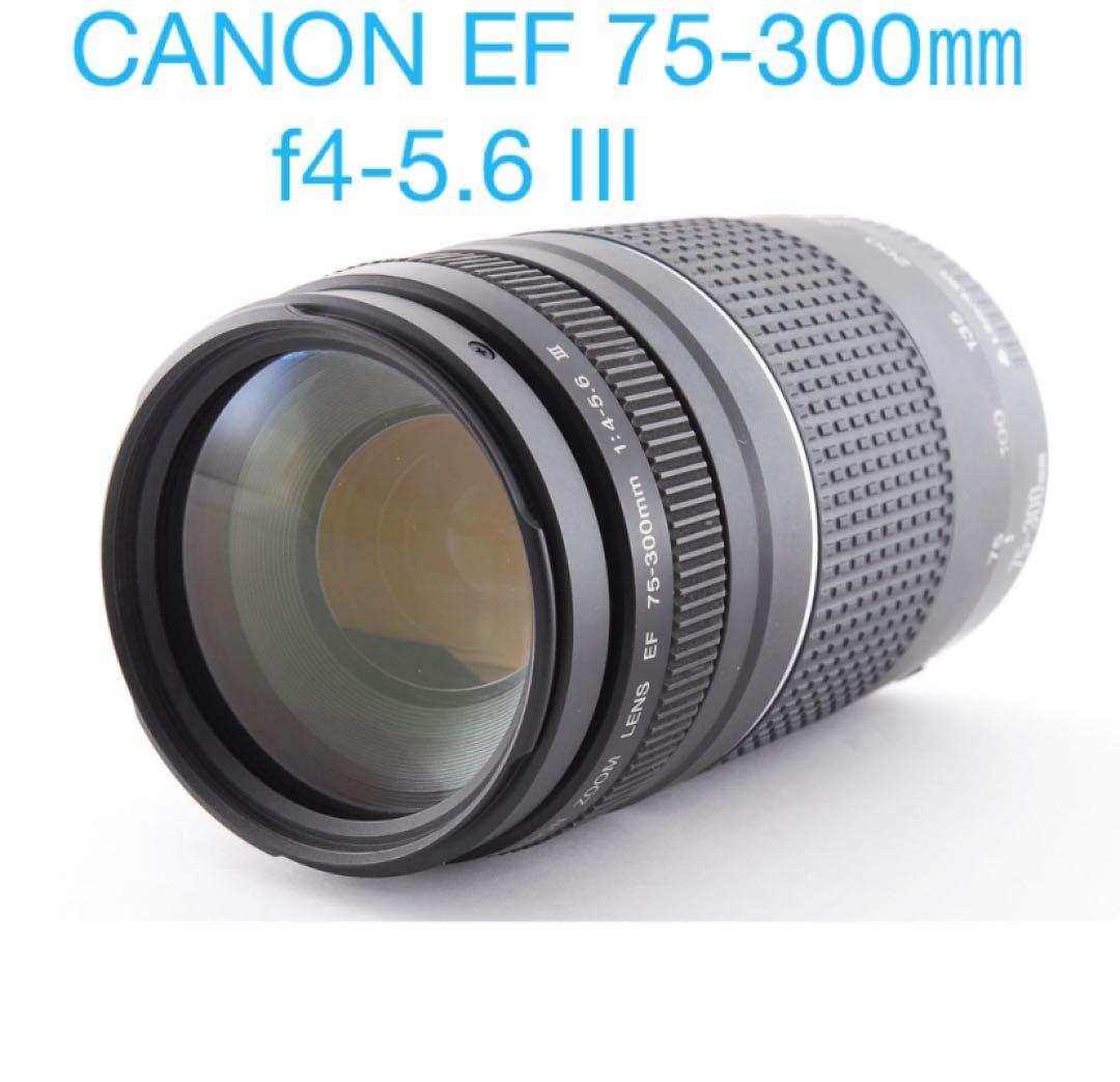 Canon Lens (Zoom) Ef 75-300 F4-5.6 Iii
