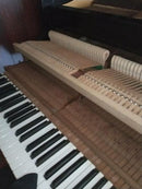 Yamaha Grand Piano G2 2
