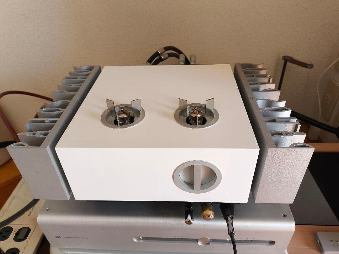Amplifier Body Pathos Inpol Ear