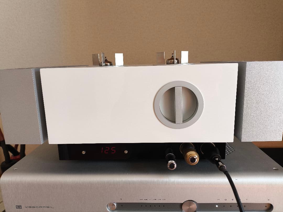 Amplifier Body Pathos Inpol Ear