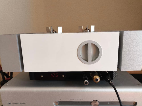 Amplifier Body Pathos Inpol Ear