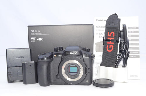 Mirrorless Interchangeable Lips Panasonic Gh5 Dc-Gh5-K