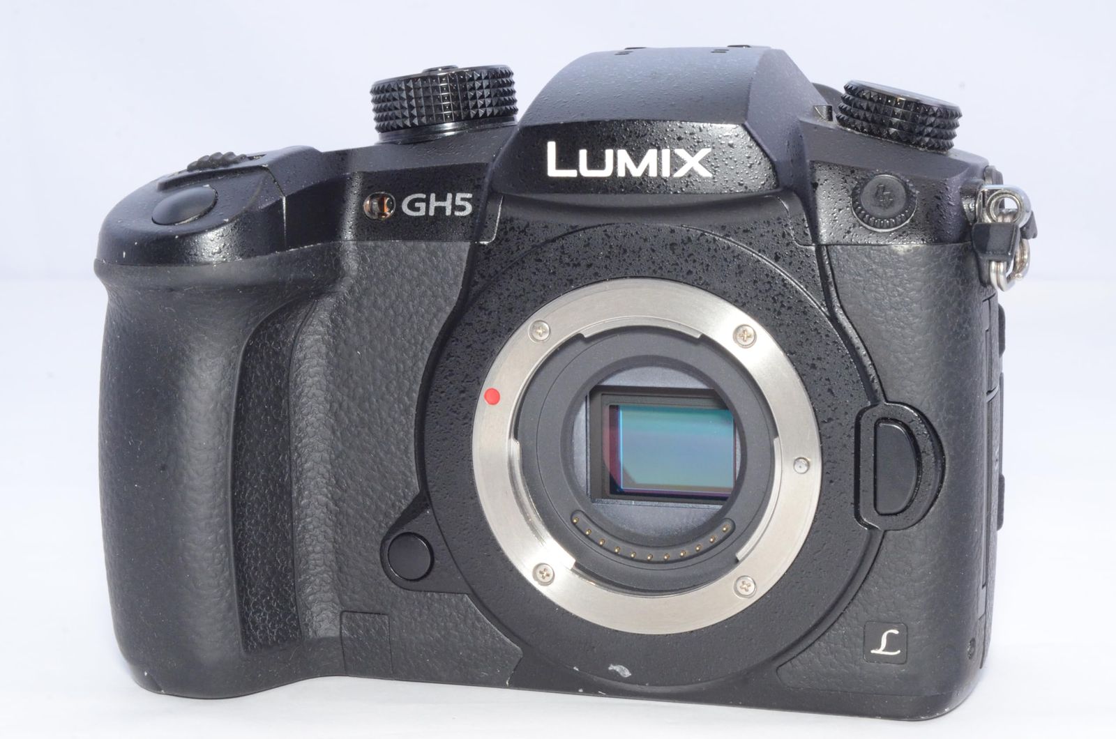 Mirrorless Interchangeable Lips Panasonic Gh5 Dc-Gh5-K