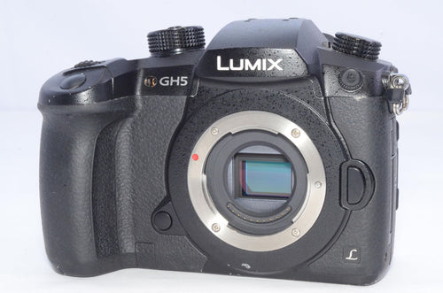 Mirrorless Interchangeable Lips Panasonic Gh5 Dc-Gh5-K