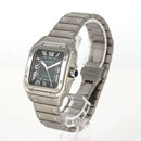 Cartier Others Mm Wssa0061 Ss