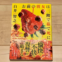 Literature Novel