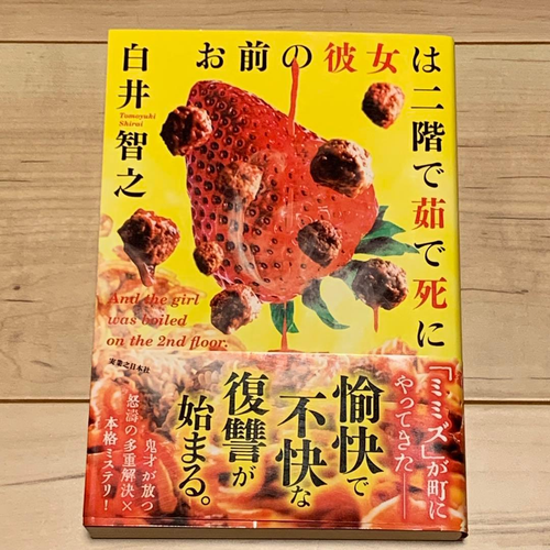 Literature Novel