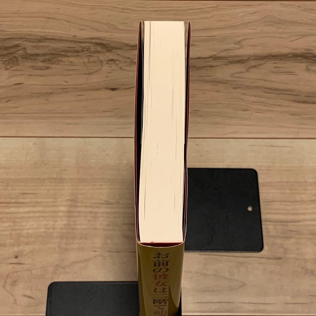 Literature Novel