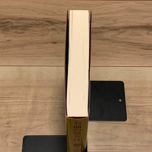 Literature Novel