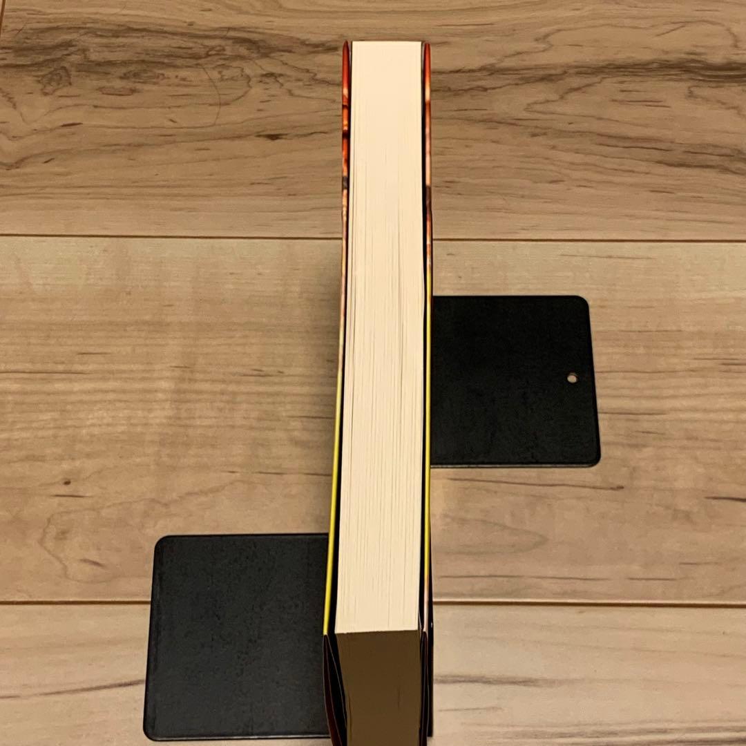 Literature Novel
