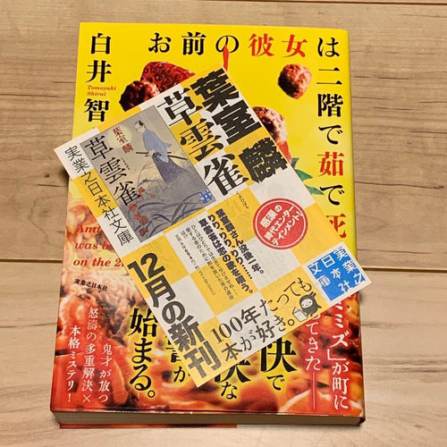 Literature Novel