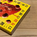 Literature Novel