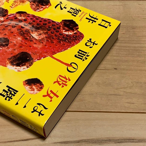 Literature Novel