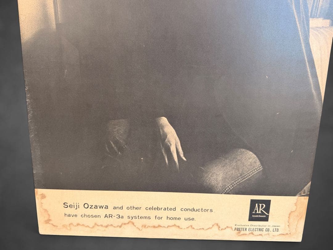 Portrait Photos 5