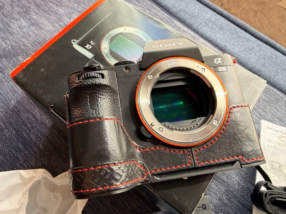 Sony Mirrorless Interchangeable Lips 7 Ii Lim'S
