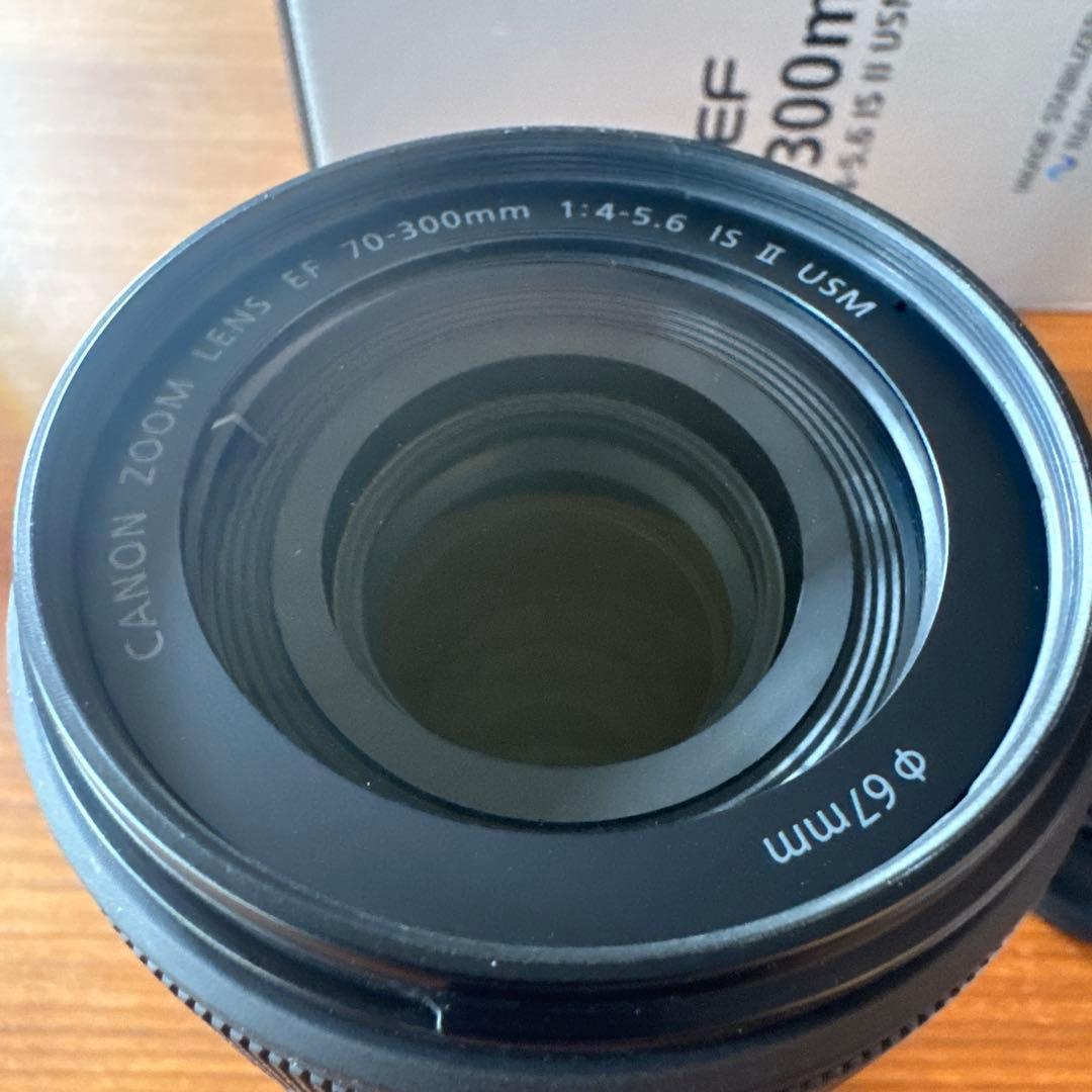 Canon Zoom Lenses Ef 70-300Mm F/4-5.6 Is Ii Usm