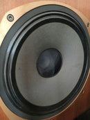 Tannoy Speakers Srm15X 1/2 2