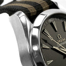 Omega Others 231.13.43.22.06.001