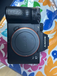 Sony Mirrorless Interchangeable Lips A7Iii Np-Fz100 4