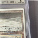 Magic: The Gathering Mtg )Tundra (Revised Bgs9